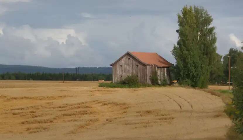 Bilde: Åkerlandskap med gammel låve