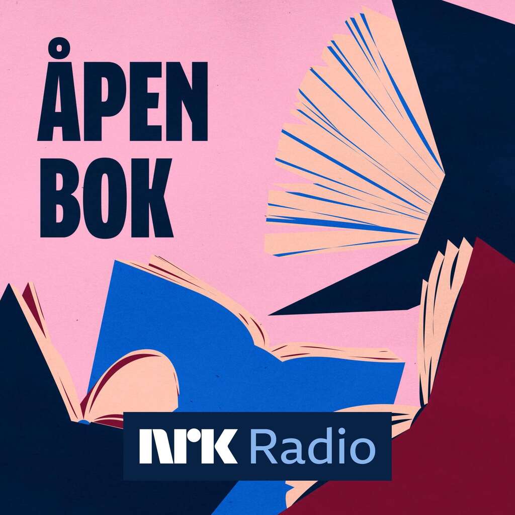 Bilde: NRK Åpen boks logo